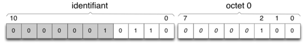 Figure 3 : exemple de message envoyé par le Satellite 6