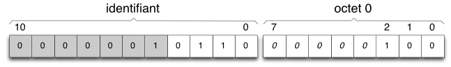 Figure 3 : exemple de message envoyé par le Satellite 6